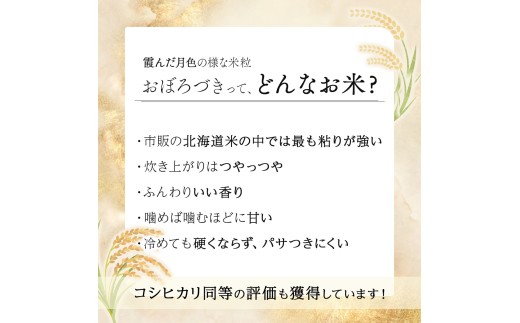 令和7年産 北海道岩見沢市産 おぼろづき玄米10kg ≪沖縄・離島配送不可≫