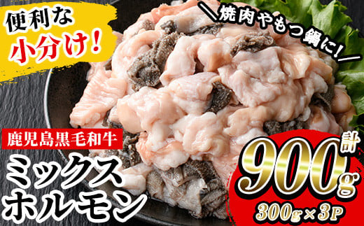 鹿児島県産 黒毛和牛 ミックスホルモン 900g(300g×3P)冷凍 小分け 国産 鹿児島県産 黒毛和牛 モツ もつ鍋 焼肉 ホルモンミックス お取り寄せ 冷凍 生冷凍【A-1738H】