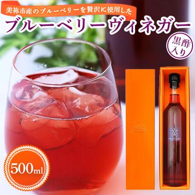 ふるさと納税 美祢市 ブルーベリーヴィネガー黒酢入り500ml
