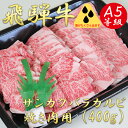 【ふるさと納税】AB-40 A5飛騨牛サンカクバラカルビ焼き肉用400g