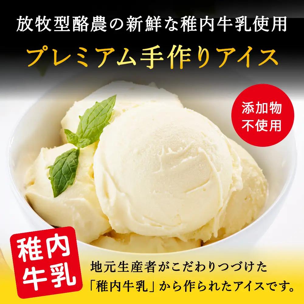 【業務用】稚内牛乳アイスクリーム2000mlバニラ×コーヒー牛乳2個セット【配送不可地域：離島・沖縄県】