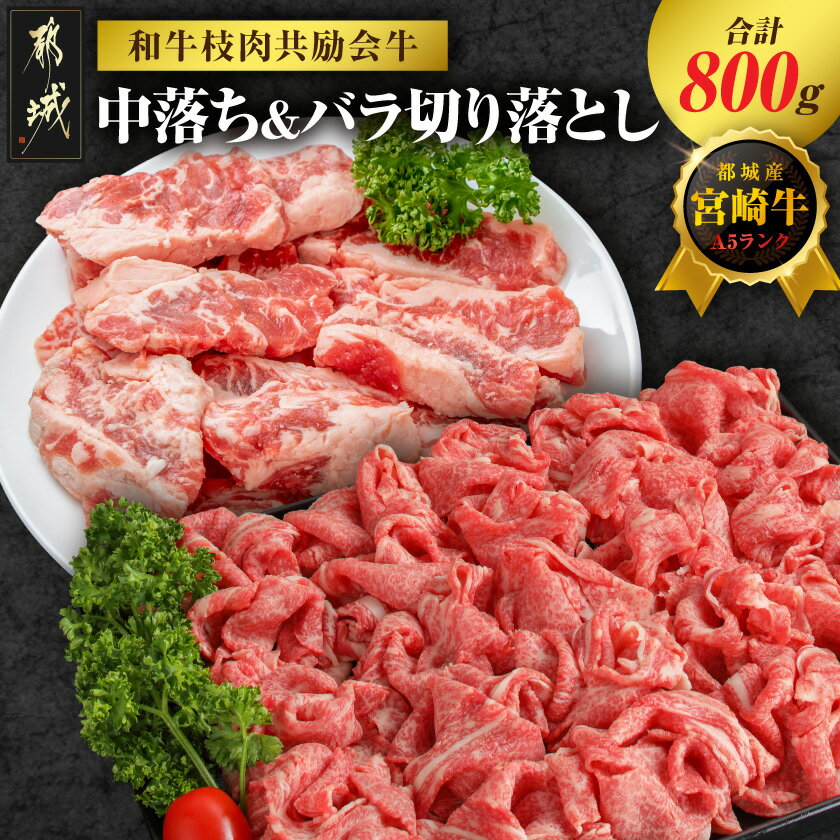 【ふるさと納税】【和牛枝肉共励会牛】(A5)宮崎牛中落ち＆バラ切り落としセット - 総重量800g 都城産宮崎牛 中落ち バラ切り落とし A5ランク 国産黒毛和牛 詰め合わせセット 送料無料 17-25-006 【宮崎県都城市は2年連続ふるさと納税日本一！】