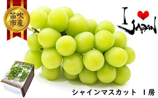 【ふるさと納税】＜2025年冬の発送＞低温貯蔵シャインマスカット1房 500g以上　ふるさと納税 おすすめ ランキング シャインマスカット 笛吹市 国産 人気 期間限定 ぶどう ブドウ 葡萄 旬 果物 フルーツ デザート 山梨県 送料無料 082-005