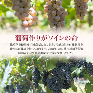 KING SELBY 柏原醸造 ワイン 赤 辛口 1本(720ml) 赤ワイン 辛口 ミディアムボディ 大阪 カタシモワイナリー 酒 お酒 赤ワイン 国産 アルコール 