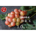 【ふるさと納税】【2025年先行予約】　厳選　岡山県産　悟紅玉　計1.0kg以上　2房　産直・朝採れ【配送不可地域：離島・沖縄県】【1394544】