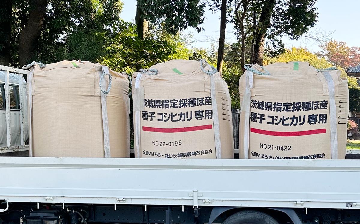 令和7年産 市左衛門農場コシヒカリ10kg (玄米)【 米 こめ こしひかり コシヒカリ ご飯 玄米 10kg 令和7年産 茨城県 つくば市 】