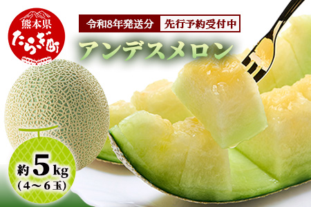 【2027年4月中旬～発送 先行予約】アンデスメロン 4玉〜6玉（約5kg）多良木町 熊本県 メロン フルーツ 果物 期間限定 数量限定