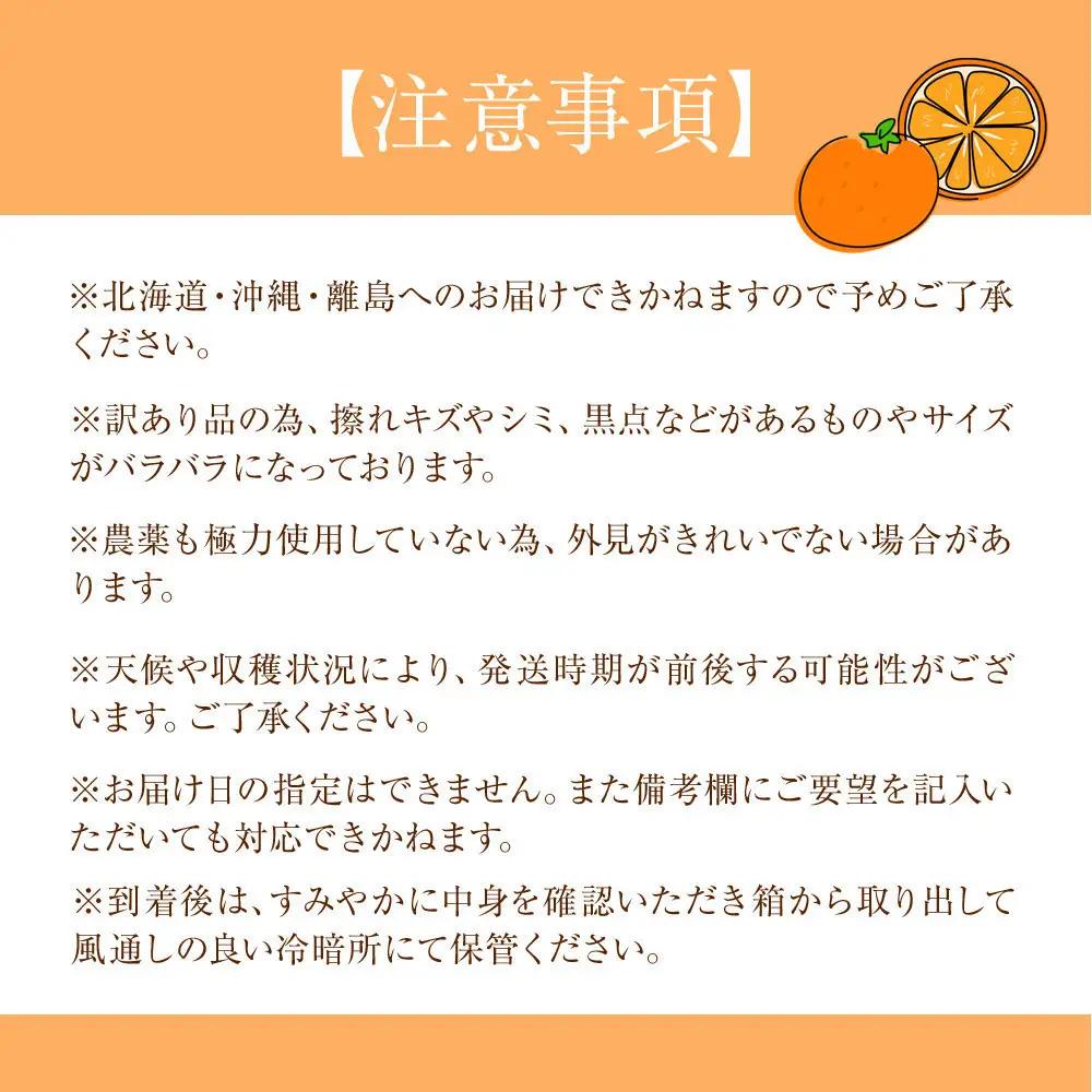 訳あり 森本農園の手選別 不知火 約4.5kg 和歌山県産  サイズ混合［北海道・沖縄・離島配送不可］［2027年2月上旬から順次発送］［RN139］