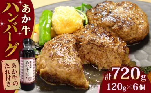 【日本ギフト大賞熊本賞受賞！】あか牛 100％ハンバーグ セット 120g×6個 冷凍 ハンバーグ 牛肉100％ 国産 個包装  タレ付き 熊本 赤牛 褐牛 あかうし 褐毛和種 肥後 冷凍 牛肉【有限会社 三協畜産】[YCG003]