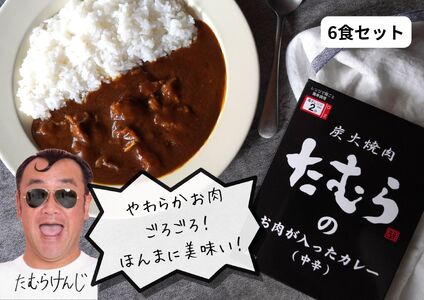 大阪名物 とろとろのお肉ごろごろの焼肉たむらのカレー 6個入り_OS158-0001