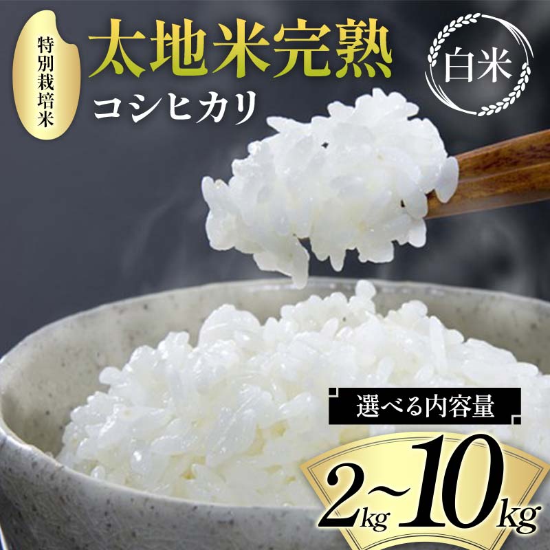 【ふるさと納税】＼選べる内容量／ 2024年産 特別栽培米 太地米完熟 【こしひかり】 白米 2kg 3kg 5kg 10kg ブランド米 お米 精米 白米 人気 F7X-0311var