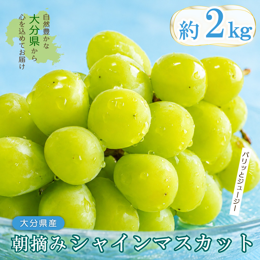 大分県産 シャインマスカット 約2kg (4～5房) 2B4
