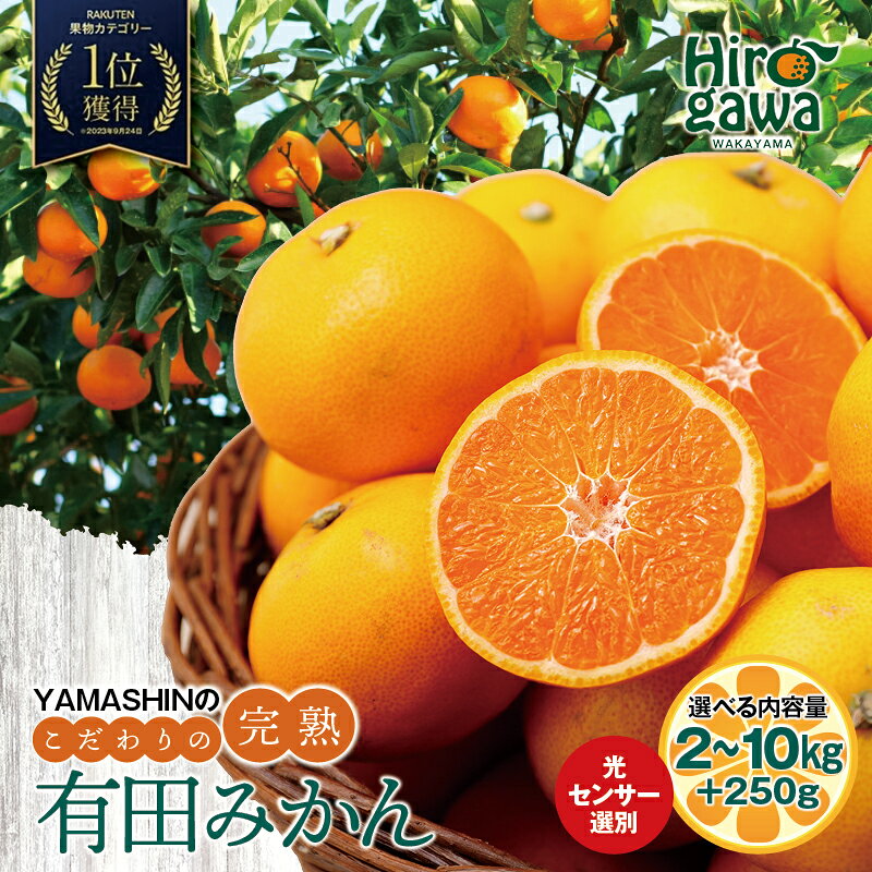 こだわりの有田みかん10kg 発送時期指定OK