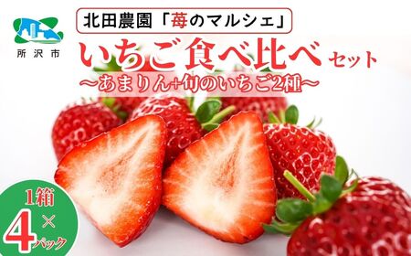 ＜先行予約/数量限定＞ 苺マルシェ 旬のいちご食べ比べセット 1箱(4パック入り) 所沢北田農園 | 埼玉県 所沢市 苺 いちご ストロベリー あまりん かおりん べにたま あきひめ 甘い 濃厚 おいしい ジューシー 果物 フルーツ 産地直送 フレッシュ 人気 おすすめ デザート お取り寄せ 贈り物 高級