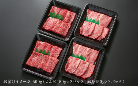飛騨牛 焼肉 厳選2種盛（赤身・カルビ） 600g（150g×各2パック） 冷凍真空パック | 肉 お肉 焼肉 焼き肉 やきにく 黒毛和牛 和牛 個包装 小分け 人気 おすすめ 牛肉 ギフト お取り寄