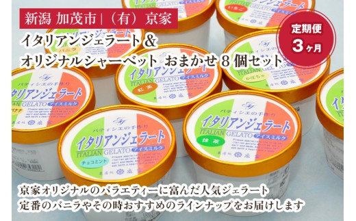【定期便3ヶ月毎月お届け】京家のイタリアンジェラート&オリジナルシャーベット おまかせ8個セット アイス アイスクリーム 氷菓 スイーツ ひんやり 有限会社京家 加茂市