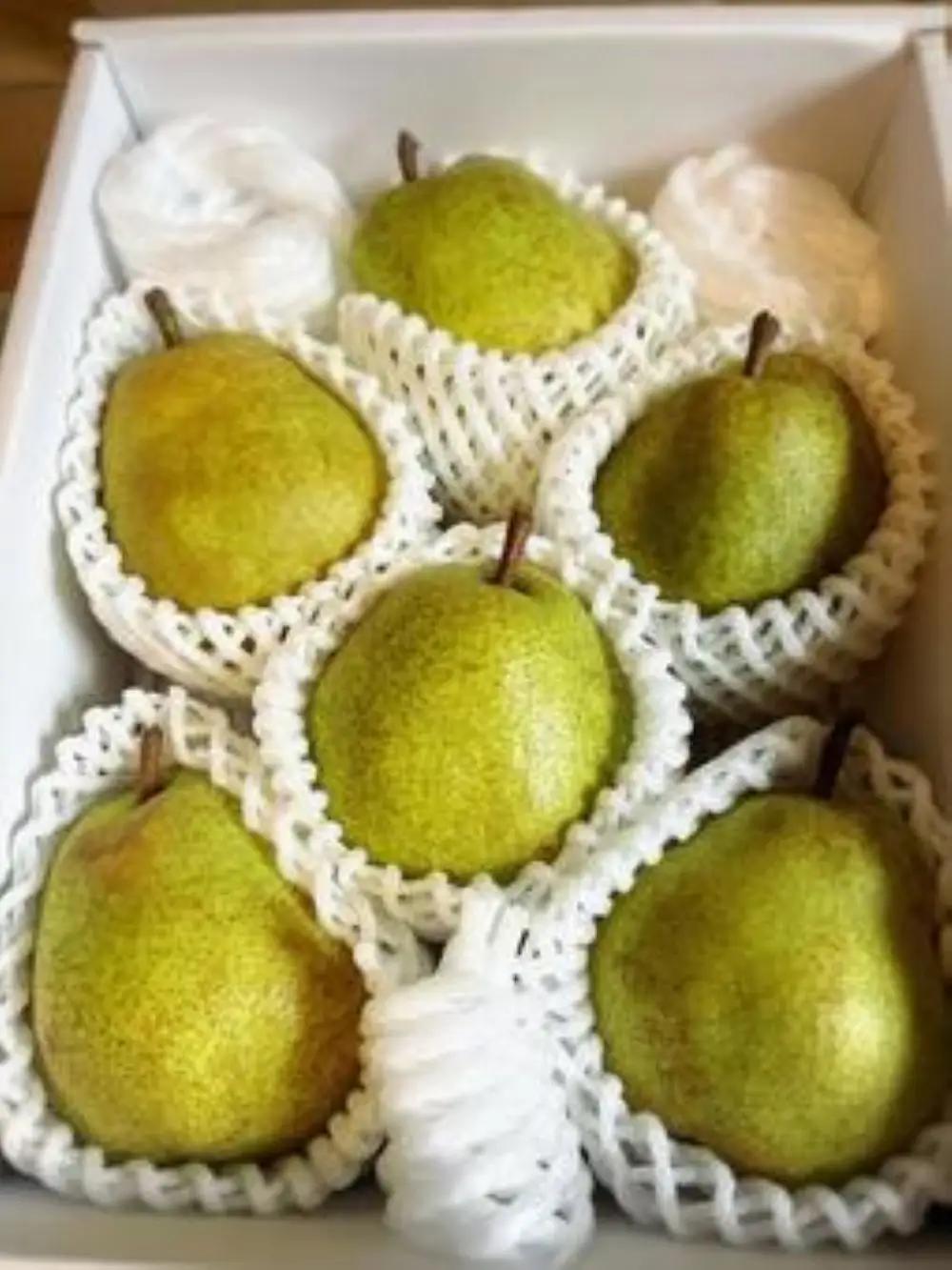 【2026年産】ラ・フランス約2kg(玉数おまかせ)特秀品 ラフランス