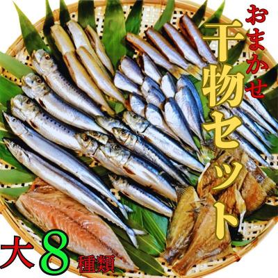 ふるさと納税 山田町 三陸山田 【無添加】おまかせ 干物 セット(大)