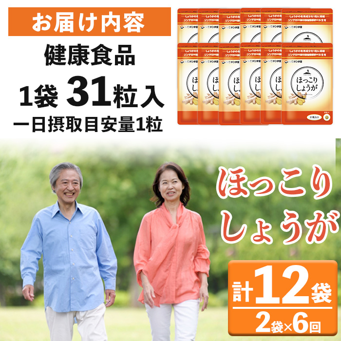 No.1296-B ＜定期便・全6回(隔月)＞ほっこりしょうが(1袋 31粒入り・2袋×6回)  鹿児島 日置市 健康食品 加工食品 サプリメント 栄養 食生活 安心安全 定期便 【てまひま堂】