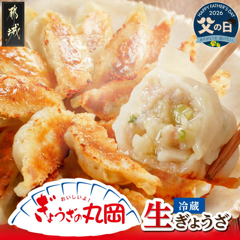 【ふるさと納税】【父の日】【ぎょうざの丸岡】生ぎょうざ50個たれ付き≪6月20日(土)お届け≫ - 餃子 国産豚肉 国産野菜 ニンニク ご当地グルメ 故郷の味 冷蔵配送 父の日 ギフト プレゼント 贈答用 送料無料 AA-O101-FG 【宮崎県都城市は2年連続ふるさと納税日本一！】