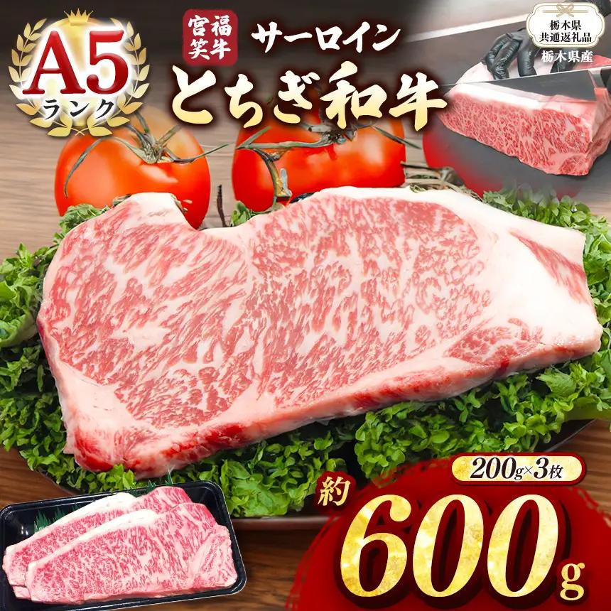 【栃木県共通返礼品 栃木県産】宮福笑牛(とちぎ和牛) A5 サーロインステーキ　約200gx3枚  | 栃木県 下野市