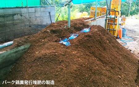 【先行予約 ５月出荷】 採りたて 甘夏 10Kg（農薬化学肥料不使用）  尾鷲市  甘夏屋 平山農園　HI-11