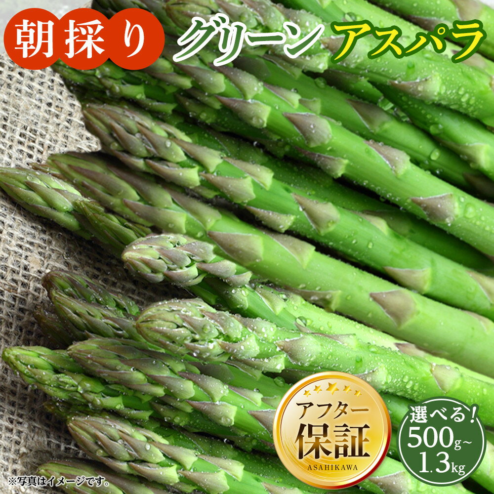 【ふるさと納税】ランキング常連【先行予約】朝採り グリーンアスパラ (2026年5月下旬発送開始) | アスパラ アスパラガス 野菜 旬 春 北海道 とれたて お取り寄せ 冷蔵配送 冷蔵 旭川市 送料無料