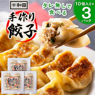 【ふるさと納税】タレ無しで食べる十和田の手作り餃子　10個入り×(3パック/4パック)【配送不可地域：離島】【G1027372】