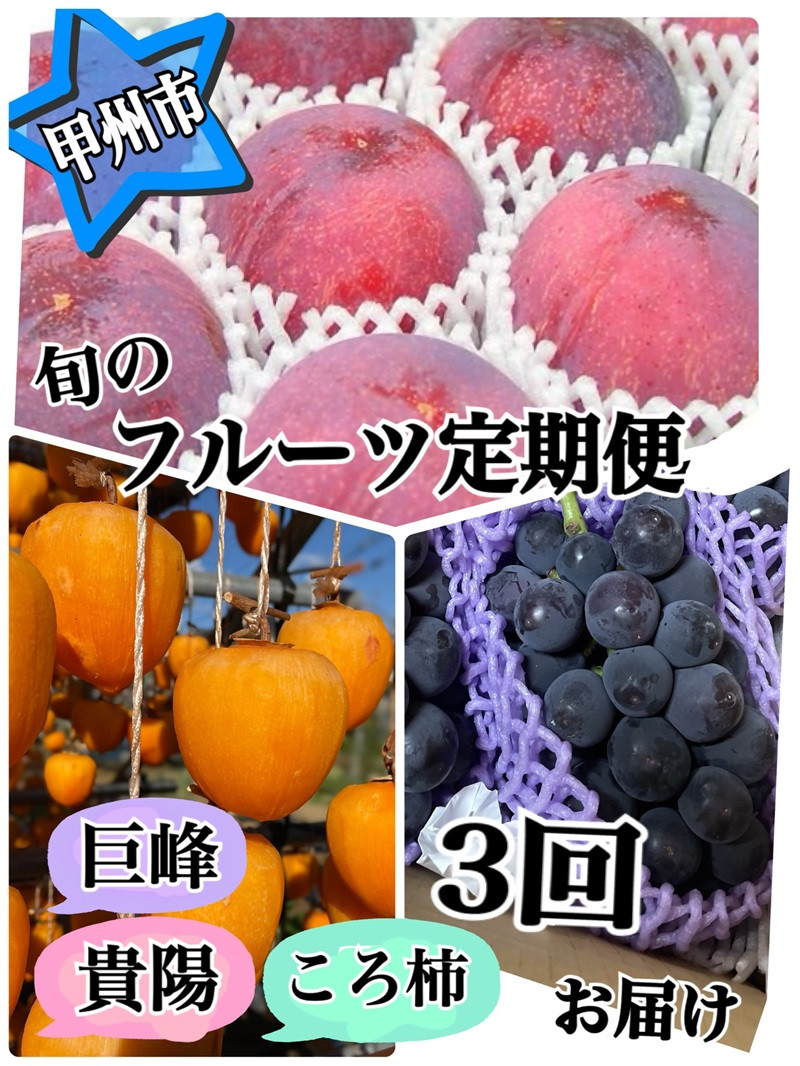 
            【定期便】いろいろ食べたい！！よくばりSET2 当農園厳選3種 旬のフルーツ定期便3回【2025年発送】（ISI）D4-156【すもも 桃 モモ 巨峰 ぶどう 枯露柿 令和7年発送 期間限定 山梨県産 甲州市 フルーツ 果物】
          