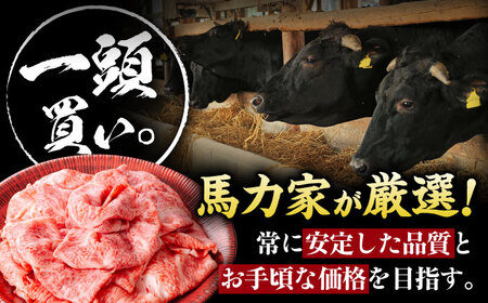 【3回定期便】飛騨牛サーロイン・リブロース 1.2kg(400g×3パック) すき焼きしゃぶしゃぶ用肉 / カルビ 牛肉 焼肉 / 御嵩町 / 馬力家[AVBO027]
