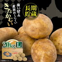 【ふるさと納税】【2025年1月以降順次発送】 じゃがいも きたかむい 20Kg《喜茂別町》【Aコープようてい】 ジャガイモ 野菜 季節の野菜 詰め合わせ 北海道 産地直送 北海道 北海道 [AJAK013] 14000 14000円