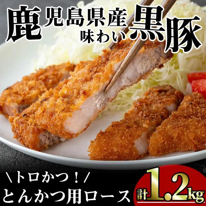 かごしま 味わい 黒豚 とんかつ ロース【トロかつ】(計1.2kg・200g×6枚)【KNOT】A559