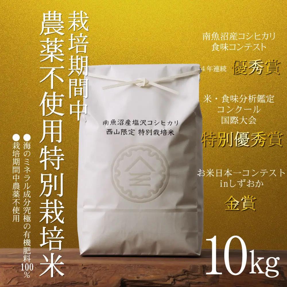【令和8年新米予約】南魚沼食味コンクール4年連続優秀賞　栽培期間中農薬不使用特別栽培米10kg　南魚沼塩沢産コシヒカリ【2026年10月中旬から1ヶ月以内に順次発送予定】｜コシヒカリ