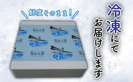あんこう 鍋 セット 1kg 5～6人前 冷凍 高級 魚 鮟鱇 赤間 味噌 下関 山口 FP010 ( アンコウ 鮟鱇 下関鮟鱇 下関アンコウ アンコウ水揚げ量日本一 鮟鱇水揚げ量日本一 鮟鱇鍋 あん