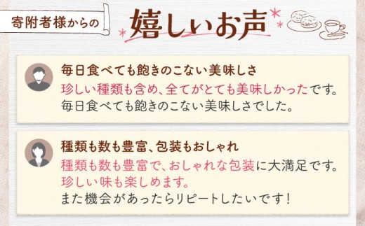 【2026年10月発送】ベーグル スコーン 詰め合わせ 計24個 セット ZEBRA.Bagel [BCAE004] 個包装 ベーグル パン ぱん 朝食 おやつ こだわり べーぐる スコーン すこーん