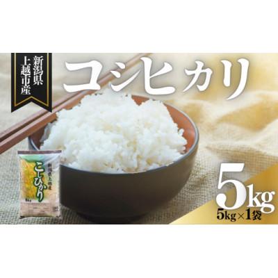 ふるさと納税 上越市 新潟県上越市産　コシヒカリ　精米　5kg