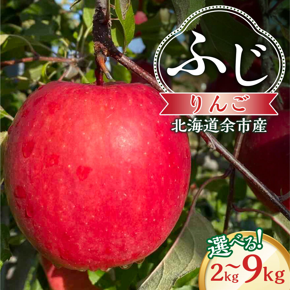 【ふるさと納税】【先行予約：2026年12月上旬より発送】 ＼ 内容量が選べる ／ りんご（ふじ） 【北海道余市町産】 パリッとジューシー 北海道産 りんご予約 北海道りんご 高糖度 酸味 甘味 バランス 果肉 果物 フルーツ 旬 秋 北海道 余市町 送料無料