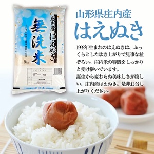 SA2850　令和7年産【無洗米】庄内産 はえぬき　5kg(5kg×1袋) SA