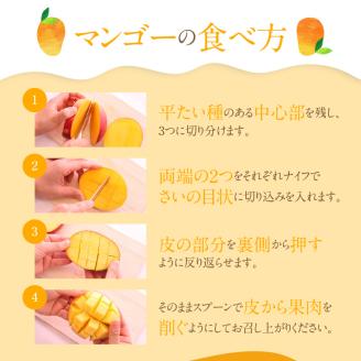 それいゆマンゴー 2kg　A006-015