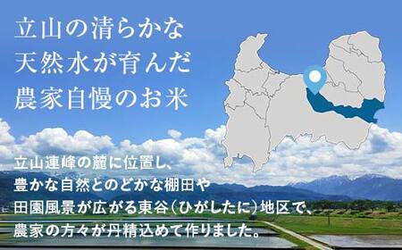 ＜定期便＞立山のちから米 コシヒカリ 各5kg ＜全6回＞ 計30kg 3ヶ月連続 5kg 定期便 定期配送 ちから米 こしひかり 銘柄米 ブランド米 国産 米 お米 日本米 ギフト F6T-913