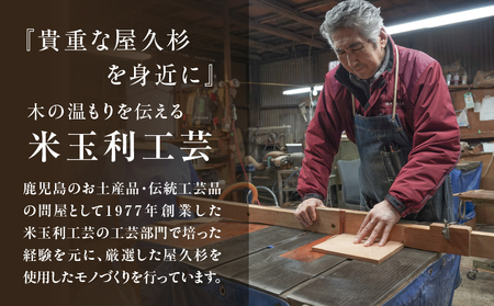 屋久杉 出逢い 一膳 箸 男性用（ 23cm ） K042-007_2