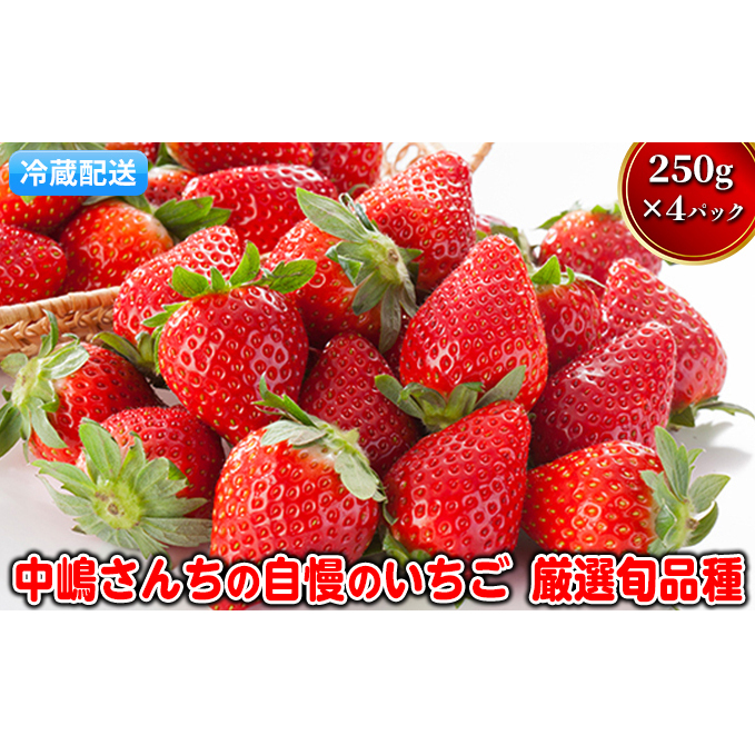 いちご 先行予約 中嶋さんちの自慢のいちご 約250g×4パック 配送不可 離島 イチゴ 苺 フルーツ 果物 