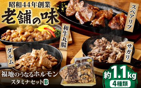 スタミナセットB 4種類(豚スペアリブ・和牛丸腸・豚サガリ・豚ダルム)計1,130g / ホルモン ホルモン ホルモン ホルモン ホルモン ホルモン / 日田市 / 福地のうなるホルモン[ARAY002]