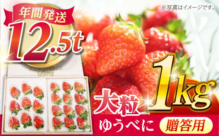 【贈答用】化粧箱入り 高級大粒いちご ゆうべに 1kg【熊本ベリー】フルーツ 果物 くだもの いちご イチゴ 苺 ゆうべに 大粒いちご [ZER013]