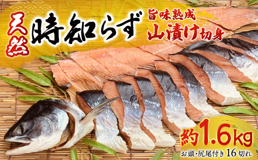 天然時知らずの旨味熟成山漬一本切身真空 【 ふるさと納税 人気 おすすめ ランキング 鮭 さけ サケ シャケ 時知らず 1本 切り身 熟成 1.0kg 天然 おかず お中元 お歳暮 ギフト 贈答 自宅用 冷凍 山漬 山漬け 真空パック 北海道 置戸町 送料無料 】 OTB002