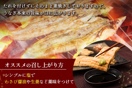 【2週間以内発送】うなぎ 白焼き 2尾 計300g以上 鰻 化粧箱入り 蒲焼たれ付 C427