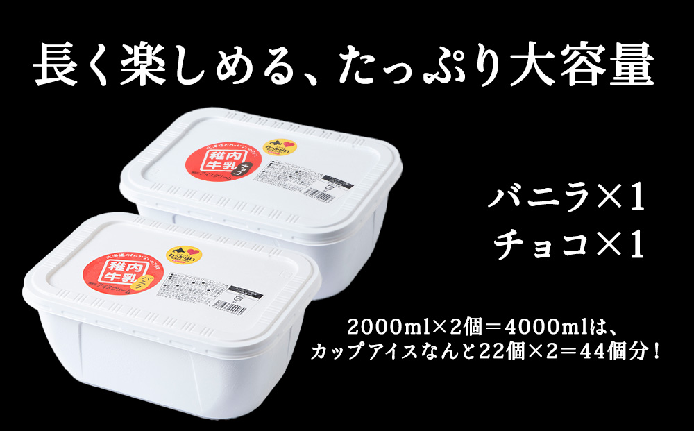 【業務用】稚内牛乳アイスクリーム2000mlバニラ×チョコ2個セット