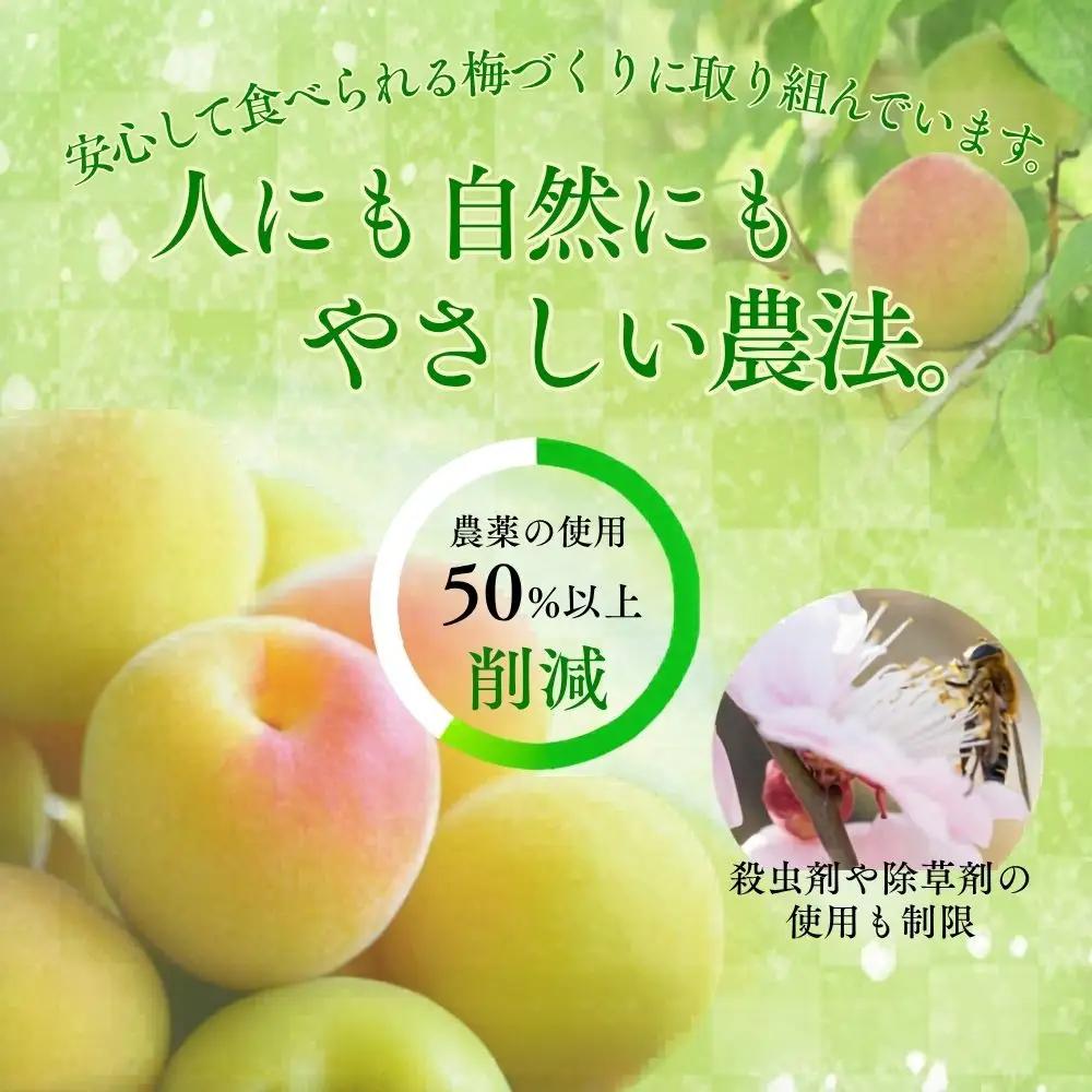 【訳あり】和歌山県産 紀州南高梅 梅干し 1kg (500g×2パック) 無添加 減塩 塩分3％ 大粒 肉厚 ご家庭用 おにぎり お弁当用【baiko005】