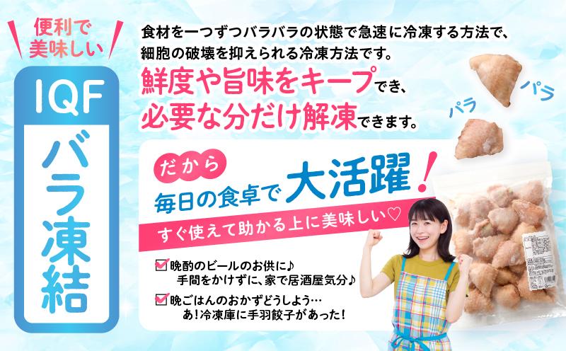 ひとくち 手羽 ぎょうざ 計60個 20個入×3パック 手羽 手羽餃子 餃子 一口 お惣菜 冷凍 冷凍餃子 宮崎餃子 おかず お惣菜 冷凍 つまみ 晩酌