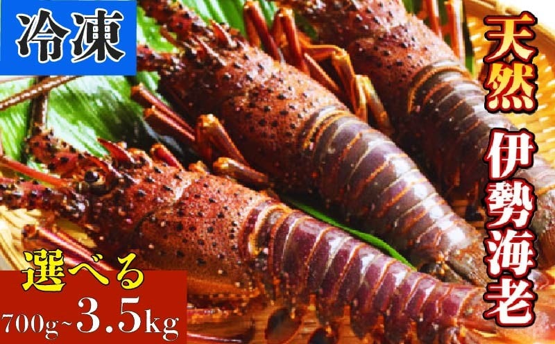 
                  冷凍 伊勢海老 700g ~ 3.5kg 数量限定 訳ありも選べる 高級 鮮魚 海鮮 魚介 縁起物 焼き物 汁物 年末 年始 ギフト 贈答 贈り物 お祝い 歳暮 お歳暮 えび エビ 海老 イセエビ 伊勢エビ 伊勢海老 伊勢えび いせえび 規格外 訳あり 訳アリ 1.0kg 1.5kg 3.5kg 特大 3万円 5万円 10万円 三万円 五万円 十万円 50000円
                